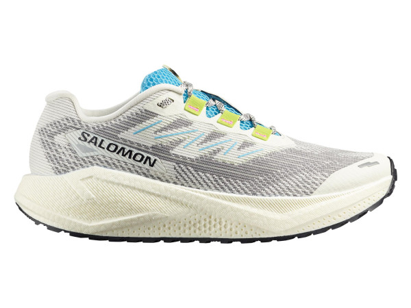 Salomon Herren Gravel-Laufschuh Aero Blaze 3 GRVL vanilia ice